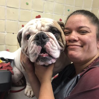Ring Leaders Kennel - Loving my Job at Ringleaders - Pet Sitting Near Me - Aledo, Texas Ring Leaders Kennel - Loving my Job at Ringleaders - Pet Sitting Near Me - Aledo, Texas