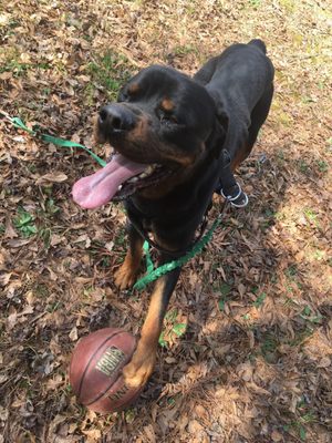 Quality Fresh Seafood by null