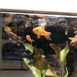 Walmart Photo Center