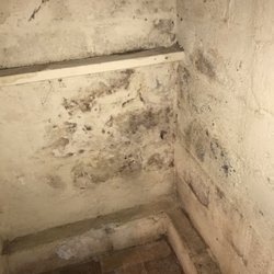 Mold Removal