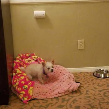 The Morgan - Hotels Near Me - San Simeon, California