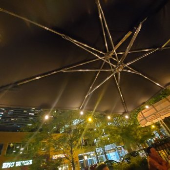 the Albert - Patio, umbrella with lights...lovely atmosphere and protection from rain - New American Near Me - Chicago, Illinois the Albert - Patio, umbrella with lights...lovely atmosphere and protection from rain - New American Near Me - Chicago, Illinois