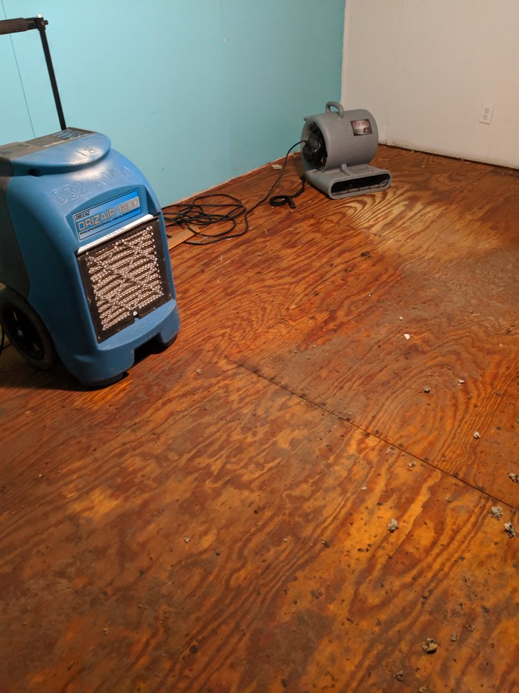 HANDS ON CARPET CLEANING SERVICE 35 Photos 1561 er St, Houston