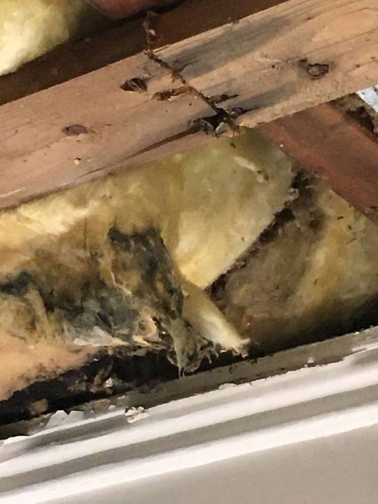 ELMWOOD REALTY 2077 Elmwood Ave, Warwick, Rhode Island Property