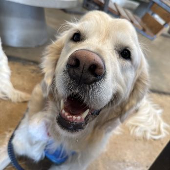 Pinthouse Brewing - @eleven11atx approves this! - Brewpubs Near Me - Austin, Texas