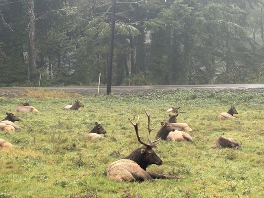 Coast Cabins by null