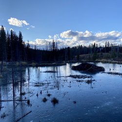 Beaver Boardwalk - Beaver Board Walk, Hinton AB