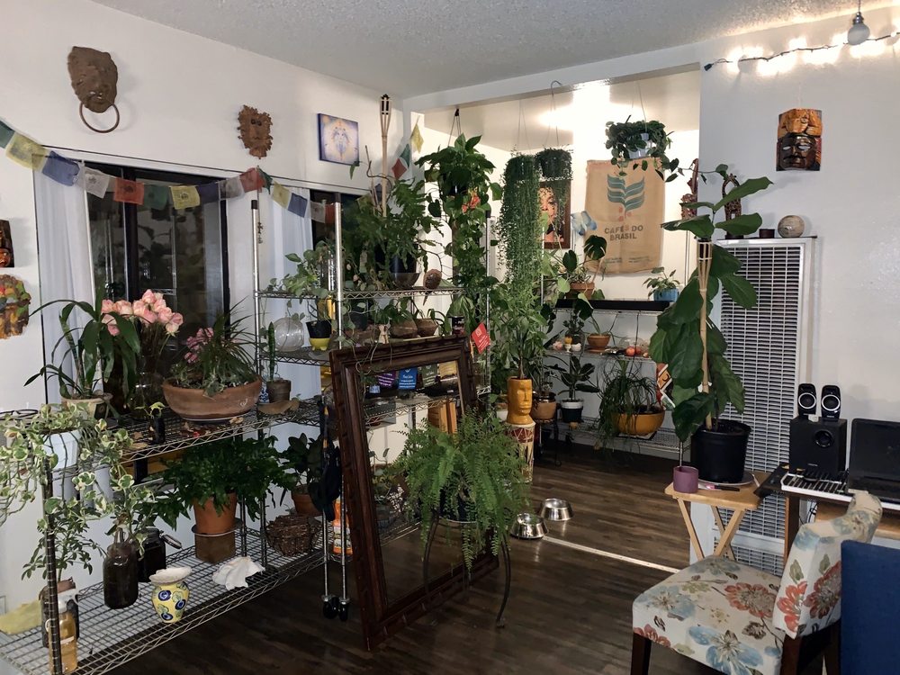 JAY’S PLANTS 64 Photos & 76 Reviews 714 Wall St, Los Angeles
