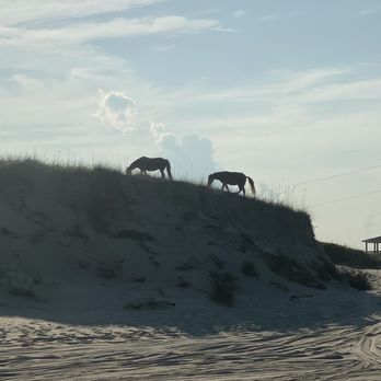 Back Country Safari Tours - Historical Tours Near Me - Corolla, North Carolina Back Country Safari Tours - Historical Tours Near Me - Corolla, North Carolina