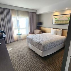 Aventura Hotel - Queen room