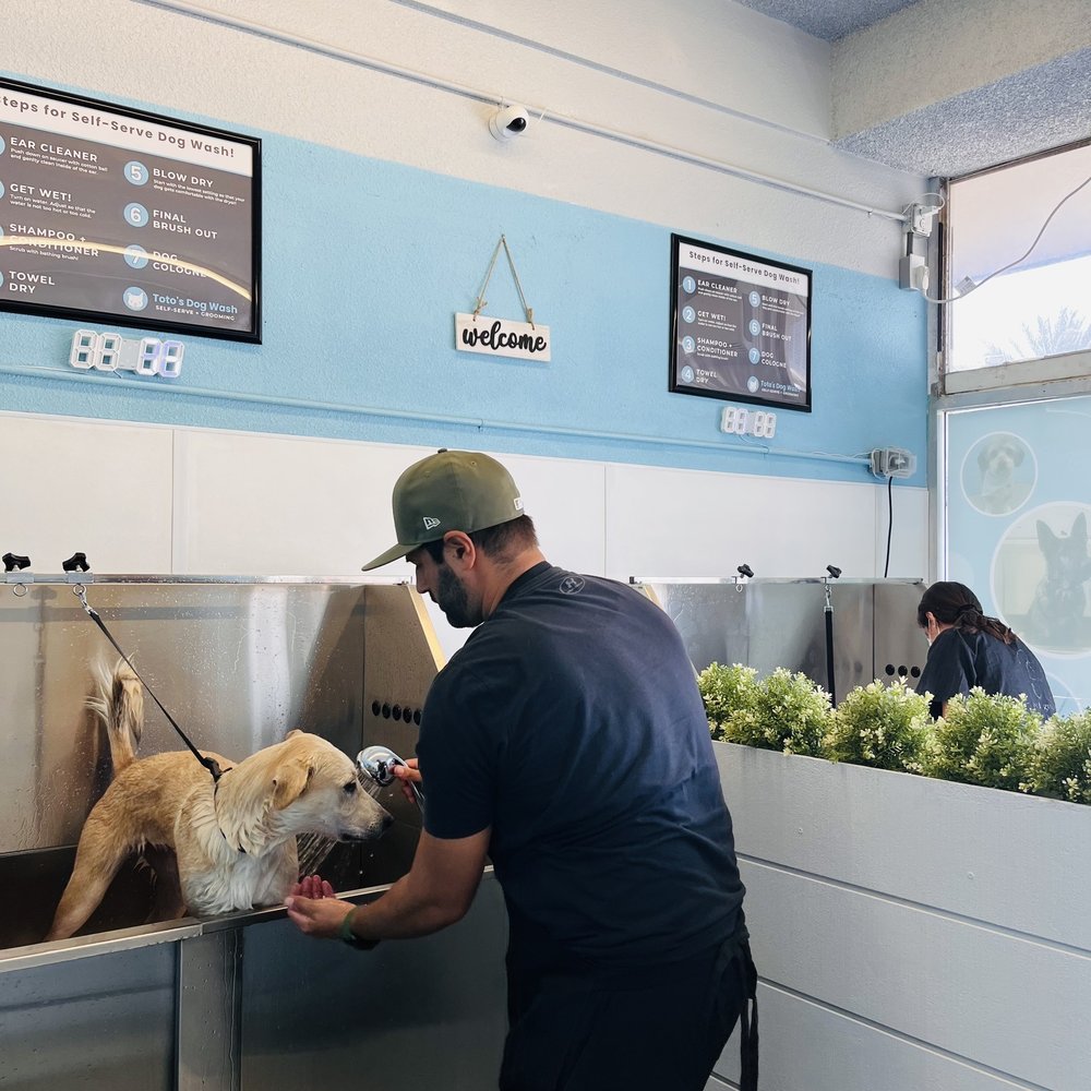 TOTO’S DOG WASH SELFSERVE + GROOMING 109 Photos & 57 Reviews 9118