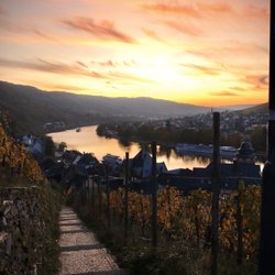 Burg Landshut - Blick vom Weg zur Burg auf die Mosel