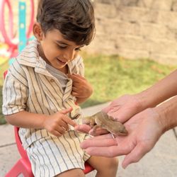 Little Feet Preschool - Learning about reptiles