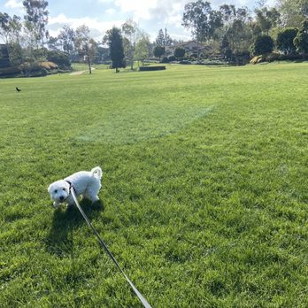 La Jolla Colony Private Park - Dog friendly park - Parks Near Me - San Diego, California