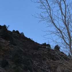 Argo Inn and Suites - Mountain Goat