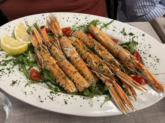 Canova Piazza del Popolo by null
