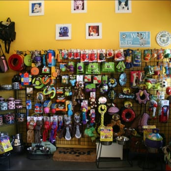 Dogma - Pet Services Near Me - Evergreen, Colorado
