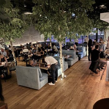 TIMBR - Updated May 2025 - 258 Photos & 83 Reviews - 15 W Las Olas Blvd