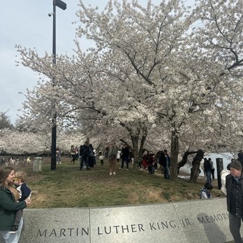 Tidal Basin - Lakes Near Me - Washington, DC, District of Columbia