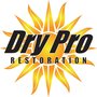 Photo of Dry Pro Restoration and Drain Cleaning