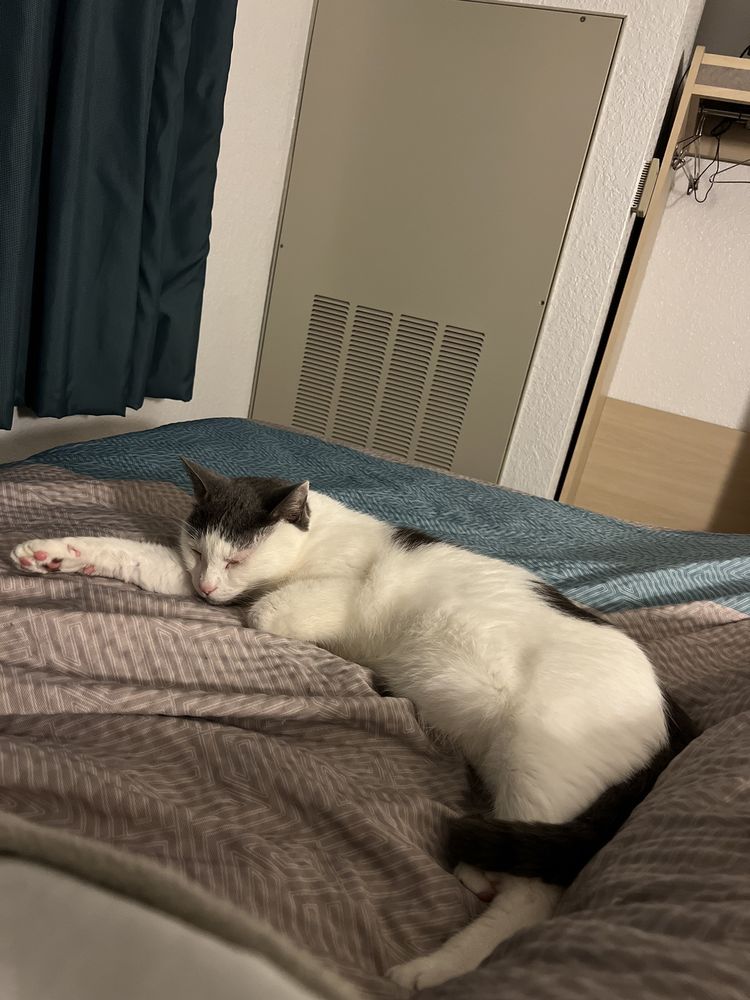 MOTEL 6 Updated August 2024 31 Photos & 37 Reviews 211 W Marty Dr