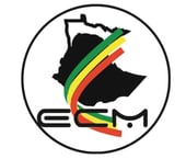 Ethiopian Community in Minnesota - social services organization in Saint Paul, MN