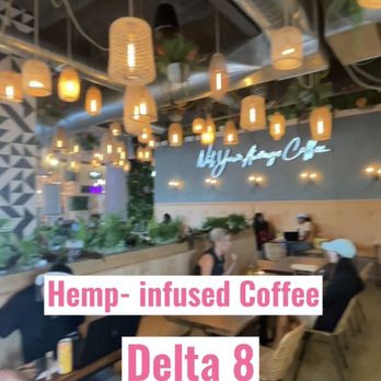 Wild - Inside - Coffee & Tea Near Me - Houston, Texas