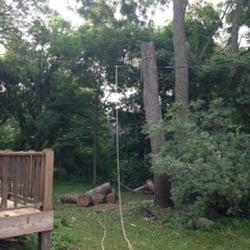 Keehr's Tree Service - Job left undone - nice work Levi!