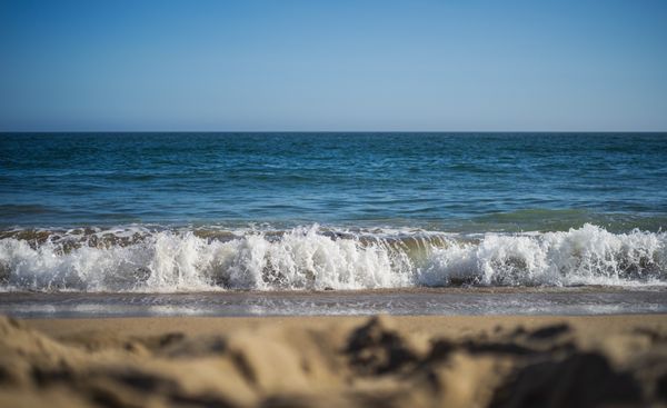Limantour Beach by null