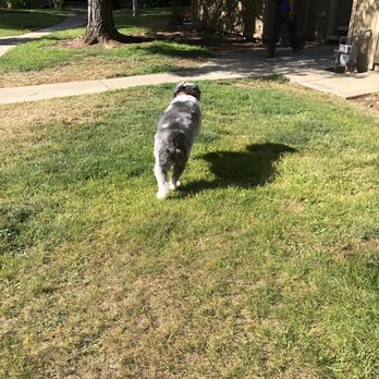 PetSmart - Wouldn't sit still for a nice body shot - Pet Stores Near Me - Milpitas, California PetSmart - Wouldn't sit still for a nice body shot - Pet Stores Near Me - Milpitas, California