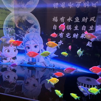 Velora Spa and Massage - Nail Salons Near Me - Las Vegas, Nevada Velora Spa and Massage - Nail Salons Near Me - Las Vegas, Nevada
