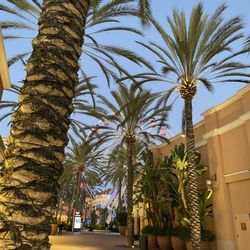Irvine Spectrum Giant Wheel - Giant wheel time