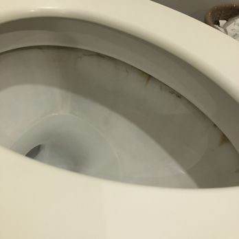 Vivere Hotel - Toilet bowl. Seriously????? - Hotels Near Me - Muntinlupa, NCR