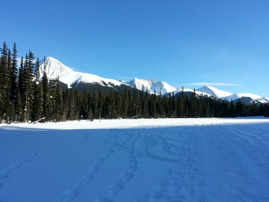 Peter Lougheed Provincial Park by null