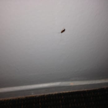 Regal Motel - ew. so dirty - Hotels Near Me - Oxnard, California