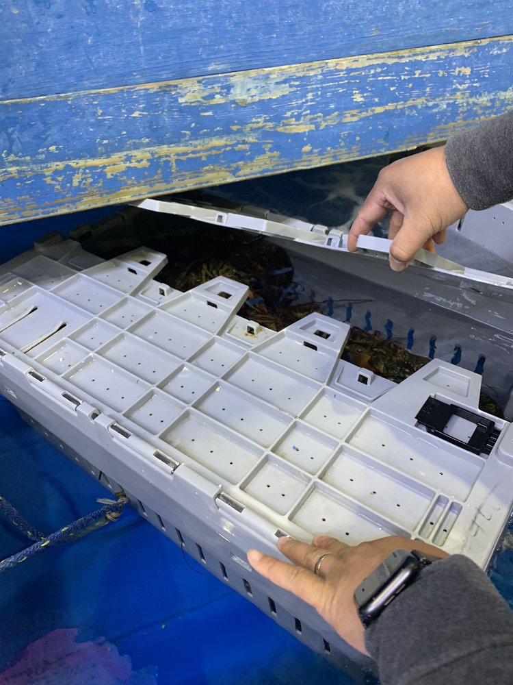 RESTAURANT DEPOT 33 Photos & 49 Reviews Wholesale Stores 7466