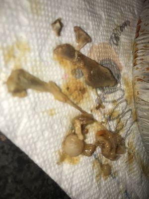 Mendi House Restaurant by null