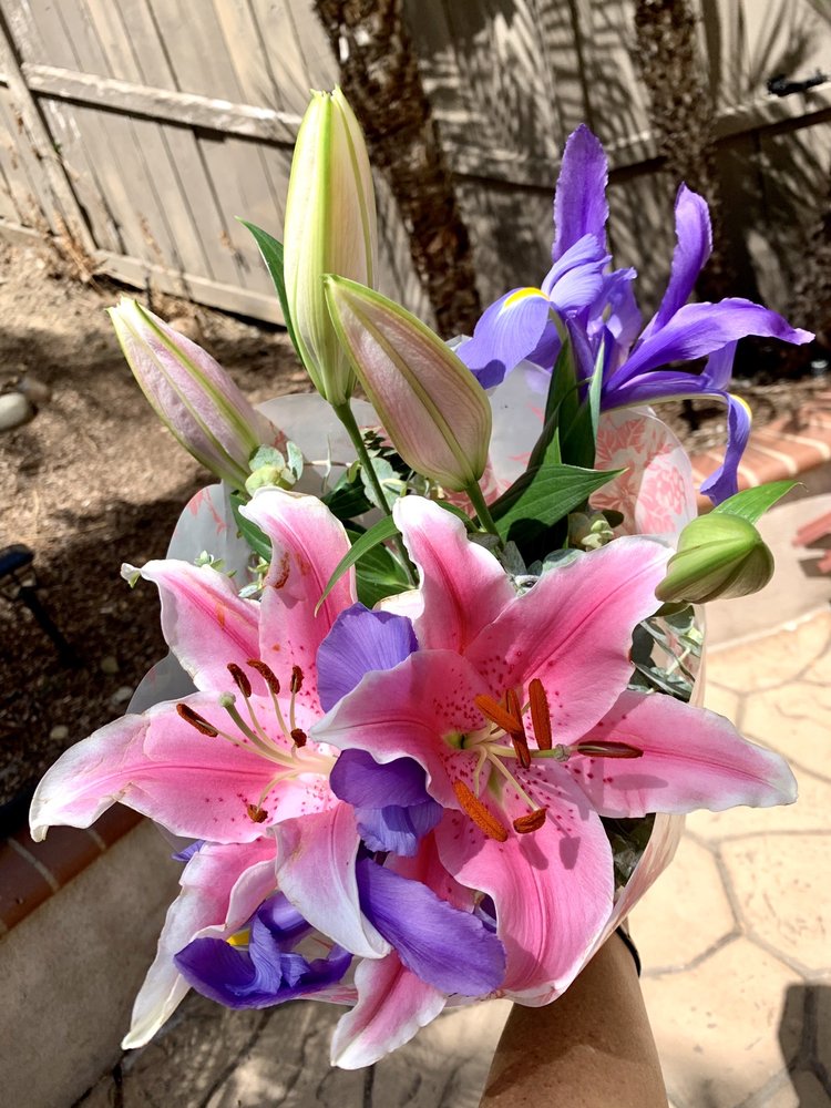 MARIA’S FLOWERS Updated September 2024 50 Photos & 19 Reviews