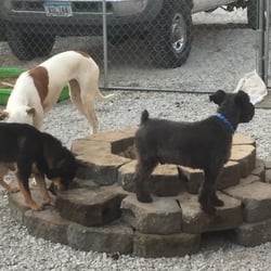 Grandma's House Pet Resort - The sand castle is a favorite!