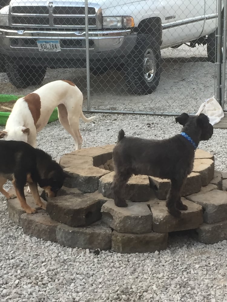 GRANDMA’S HOUSE PET RESORT Updated August 2024 15443 Jacob Ave