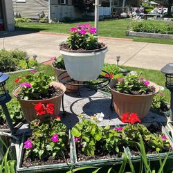 L&M Greenhouse - Planter in yard