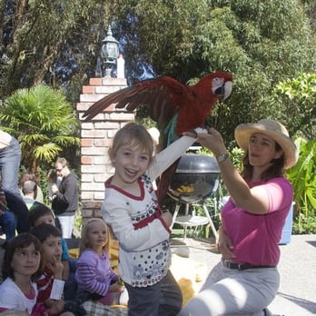 Happy Birds - Party & Event Planning Near Me