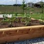 Photo of Sunraised Gardens