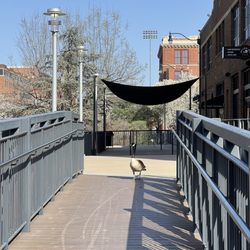 Bricktown - OKC