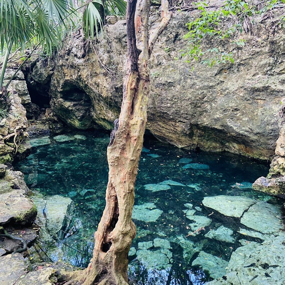 Azul Cenote - Hiking Near Me - Playa del Carmen, ROO
