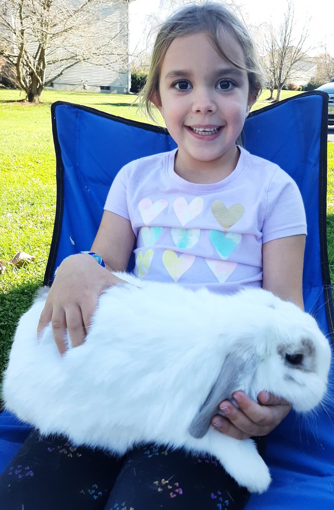 FISK CAMERA SHOP Updated October 2024 2115 Birch St, Easton