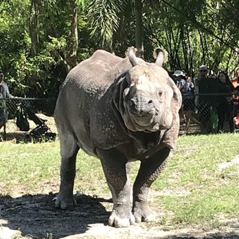 Zoo Miami - Zoos Near Me - Miami, Florida Zoo Miami - Zoos Near Me - Miami, Florida