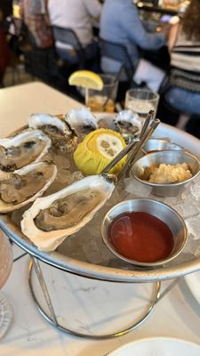 Rare Society by null