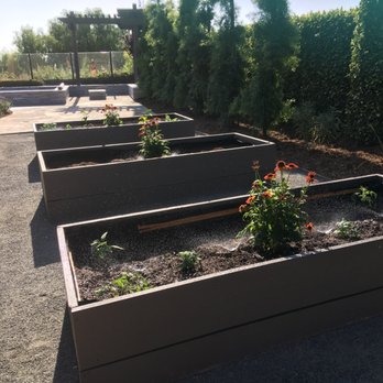 Pablo's Landscape Services - Tree Services Near Me - San Marcos, California