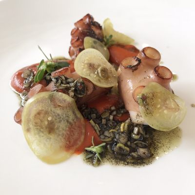 Stokehouse Pasta & Bar by null